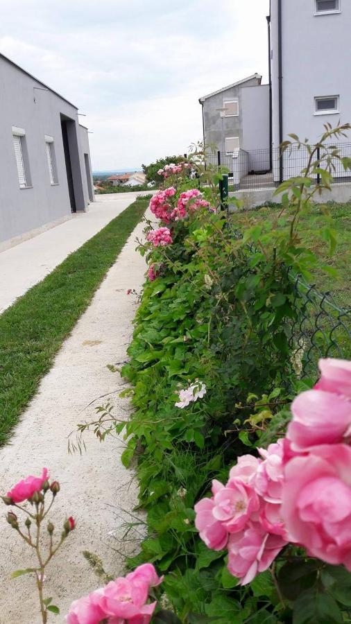 Apartments With A Parking Space Nin, Zadar - 13571 Exterior foto